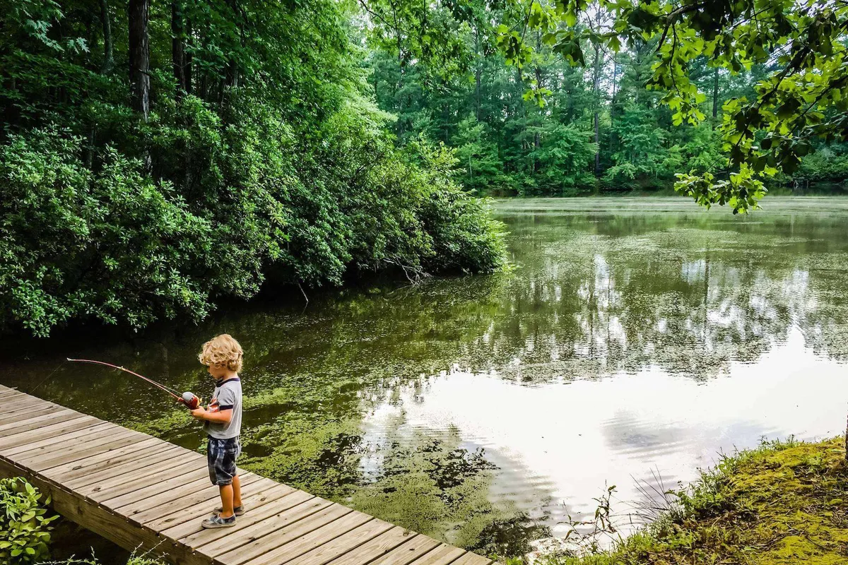 A peaceful lakeside scene featuring a child fishing from a wooden dock, surrounded by lush greenery and reflective water. The image evokes a sense of family bonding, outdoor fun, and exploration in nature.