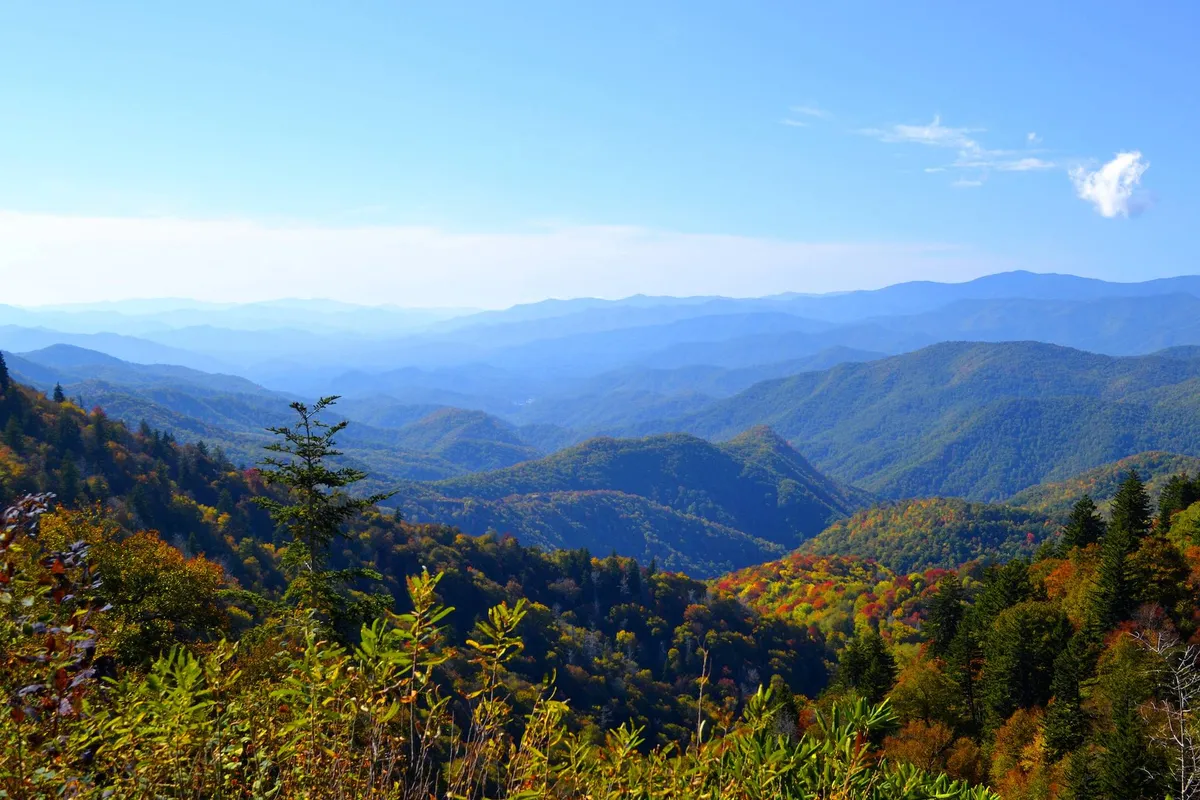 A panoramic view of rolling mountains covered in vibrant autumn foliage and an expansive sky, inviting outdoor adventure. The scene captures the natural beauty of the Chattanooga area, hinting at the nearby hiking trails and scenic spots for dog-friendly exploration.
